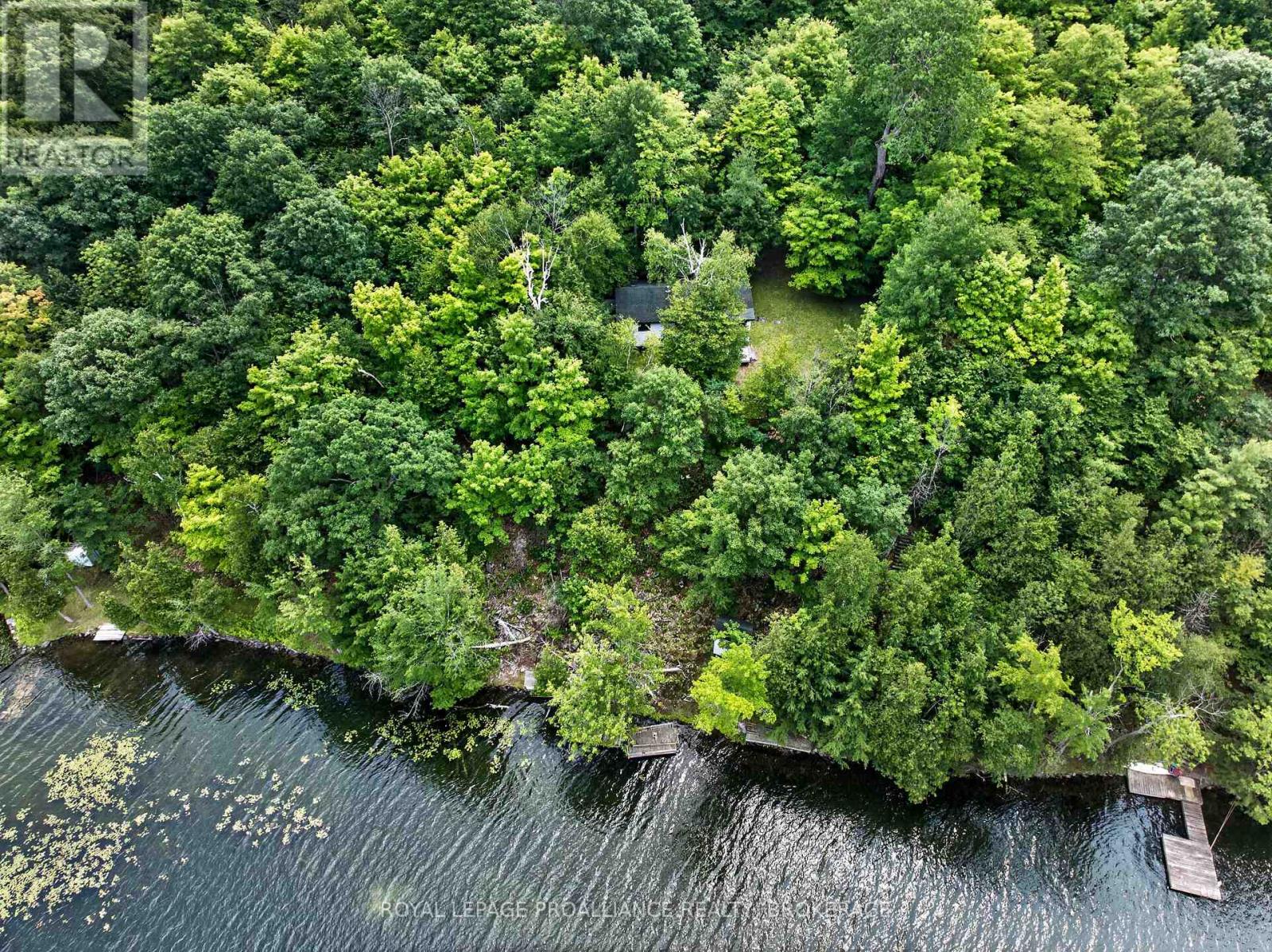 119 CLIFF VIEW LANE - Image 6