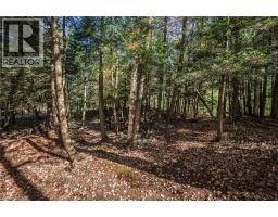 1012 Armstrong Road, Gravenhurst, ON P0E1G0 Photo 32