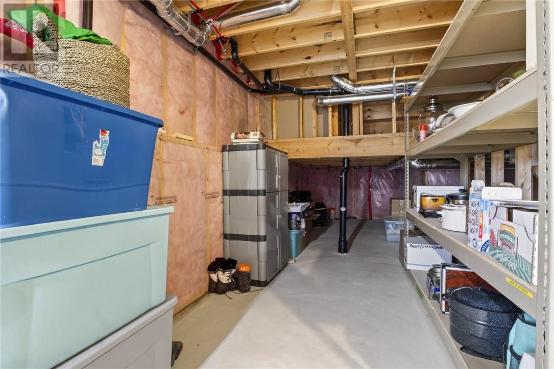 3 Silverberry - Image 31