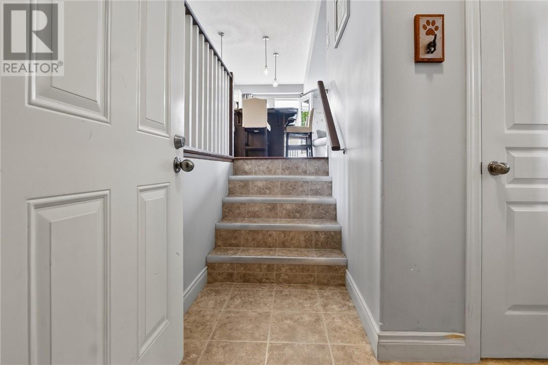 3 Silverberry - Image 34