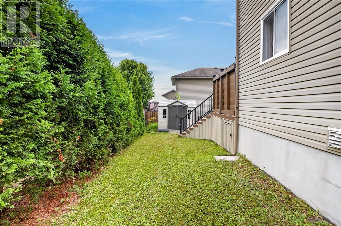 3 Silverberry - Image 37