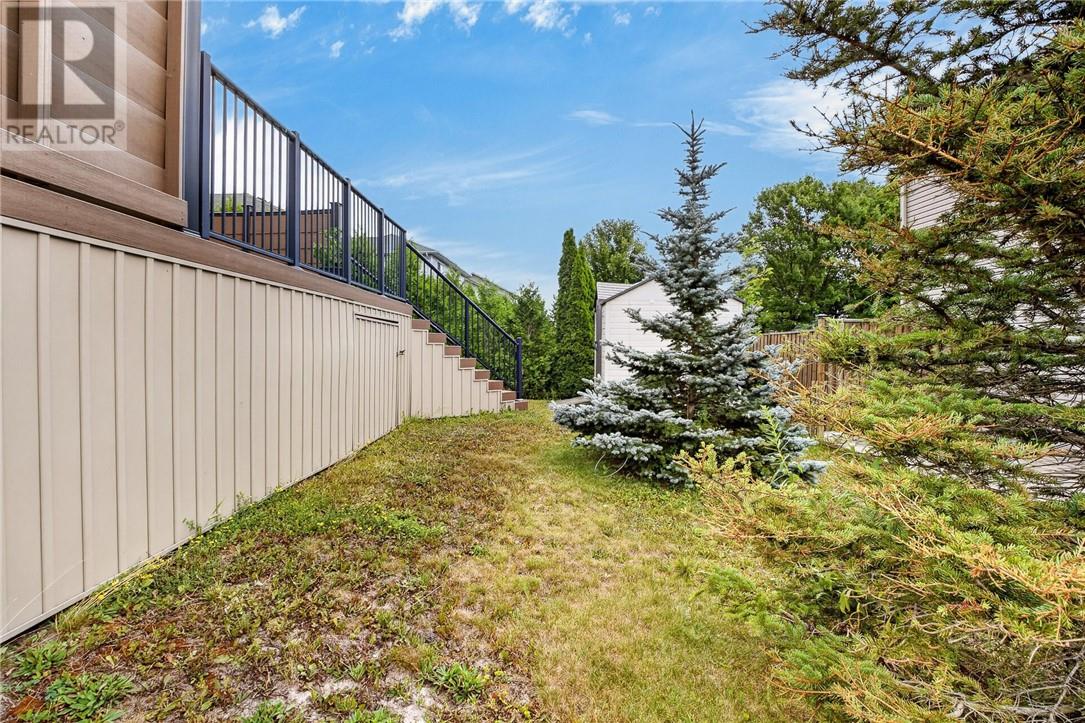 3 Silverberry - 42