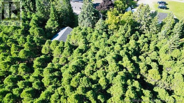 40 Lepage Street - 5
