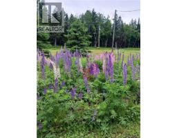 1496 Route 390, Gladwyn, NB E7H4R7 Photo 10