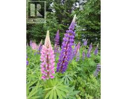 1496 Route 390, Gladwyn, NB E7H4R7 Photo 11