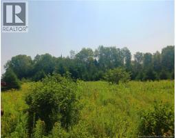 1496 Route 390, photo 5