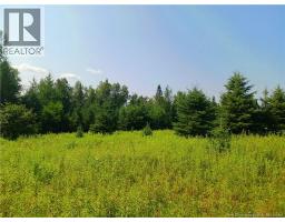 1496 Route 390, Gladwyn, NB E7H4R7 Photo 6