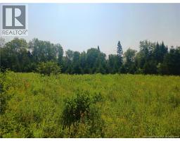 1496 Route 390, photo 4
