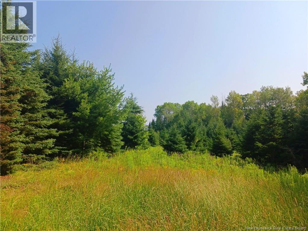 1496 Route 390, Gladwyn — photo 3