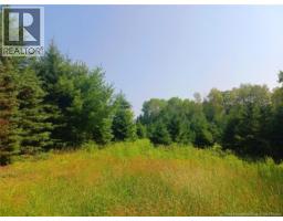 1496 Route 390, photo 3