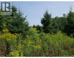 1496 Route 390, Gladwyn, NB E7H4R7 Photo 7