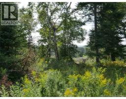 1496 Route 390, Gladwyn, NB E7H4R7 Photo 8