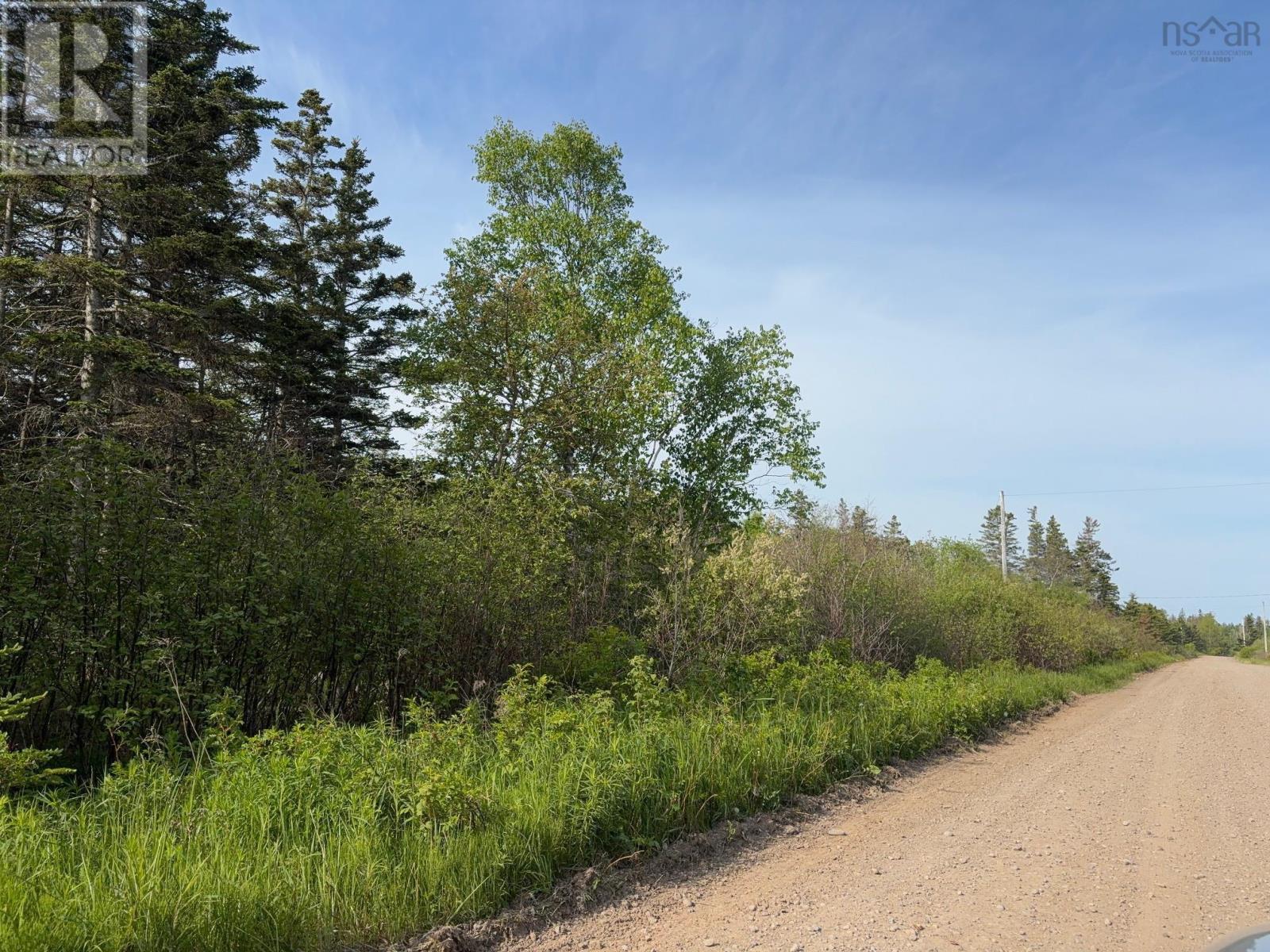 road view