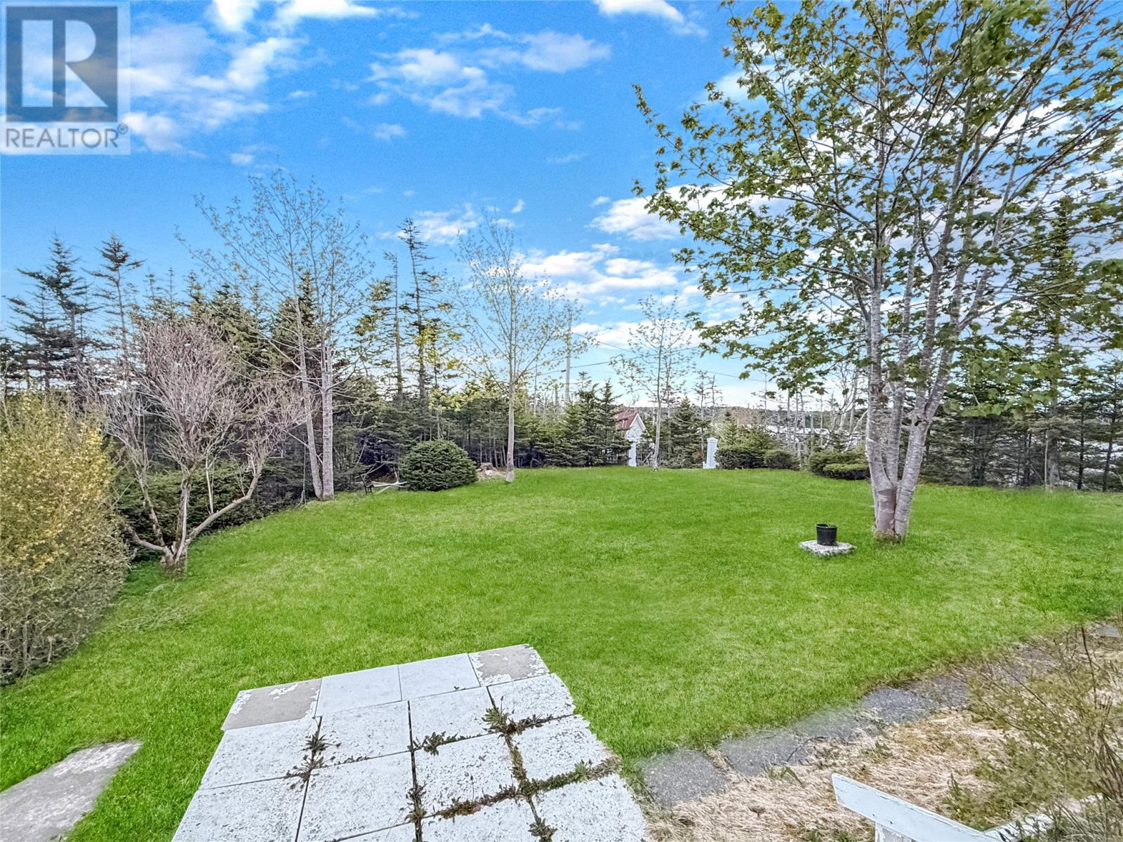 206 Vineland Road, Salmonier — photo 3