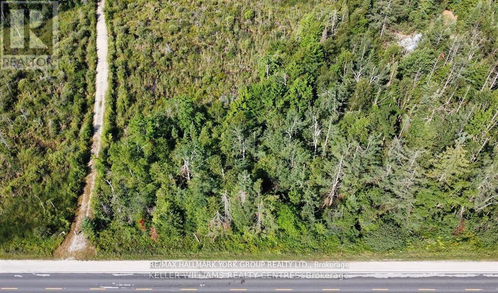 PT LOT 80 GREY ROAD, Grey Highlands — photo 3