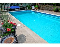 559 Haines Road, Newmarket, ON L3Y6V4 Photo 37