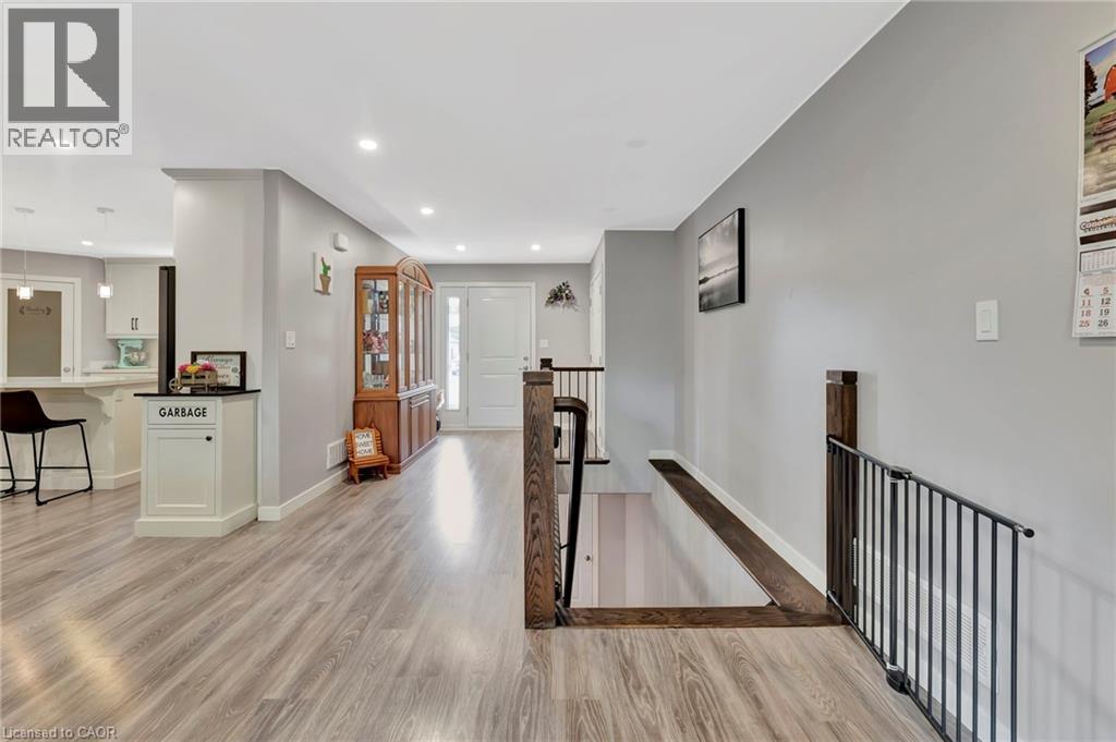 12 ALBERT Street - 22