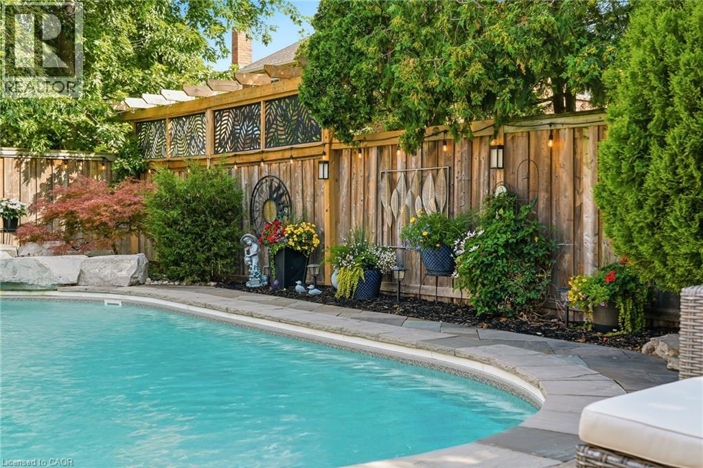 Thumbnail 41