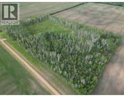 11276 Twp Rd 1064, La Crete, AB T0H2H0 Photo 8