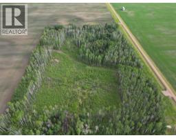 11276 Twp Rd 1064, La Crete, AB T0H2H0 Photo 9