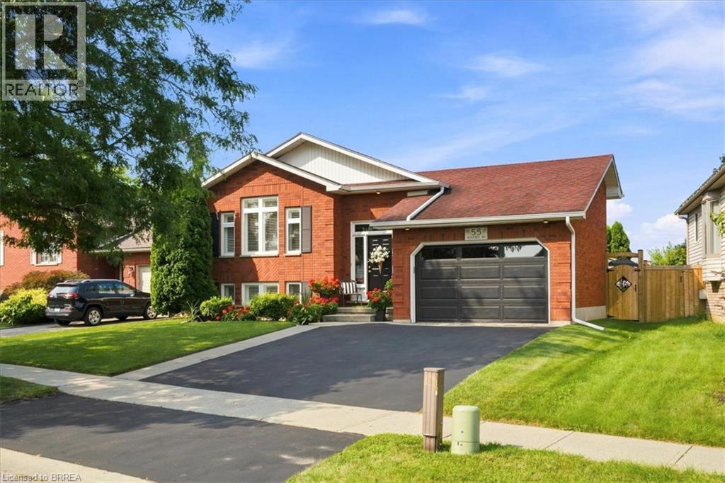 55 OLIVETREE Road - 3