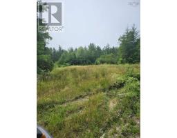- Alder Road, Dutch Brook, NS B1M1B2 Photo 10