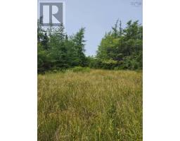 - Alder Road, Dutch Brook, NS B1M1B2 Photo 9
