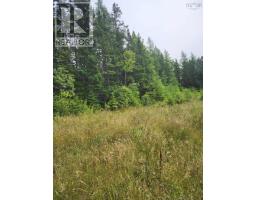 - Alder Road, Dutch Brook, NS B1M1B2 Photo 8