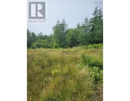 - Alder Road, Dutch Brook, NS B1M1B2 Photo 11