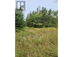 - Alder Road, Dutch Brook, NS B1M1B2 Photo 6