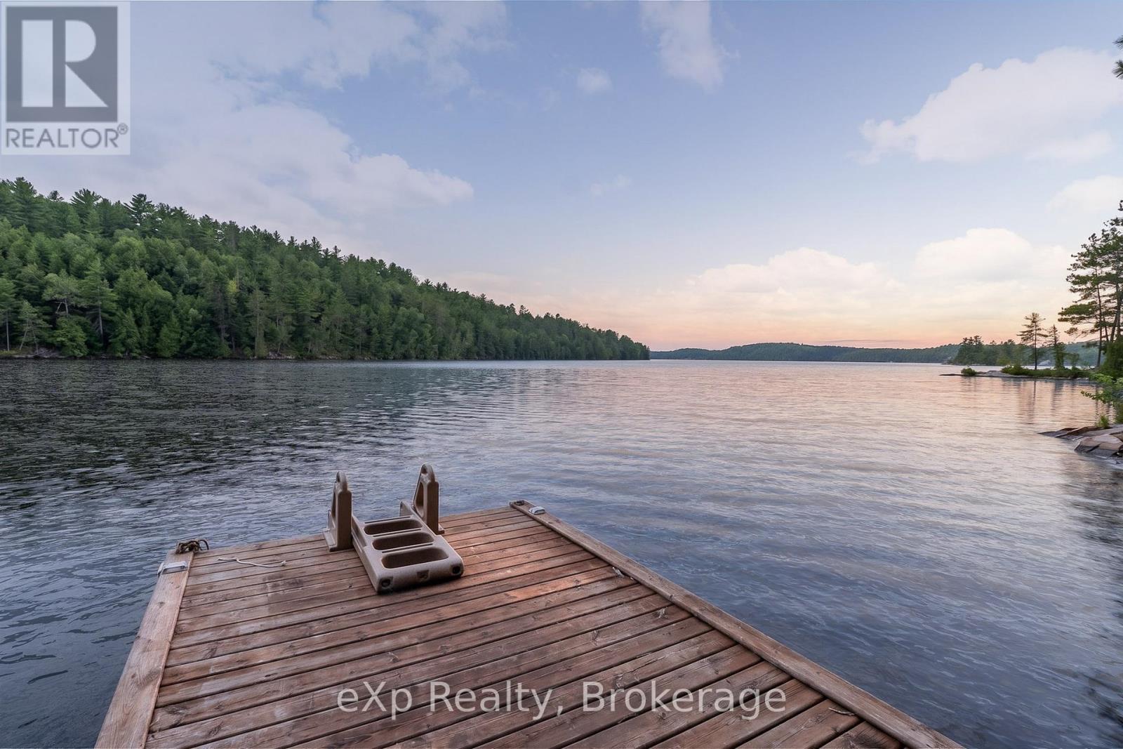 0 SOUTH SHORE LAKE PANACHE - Image 37