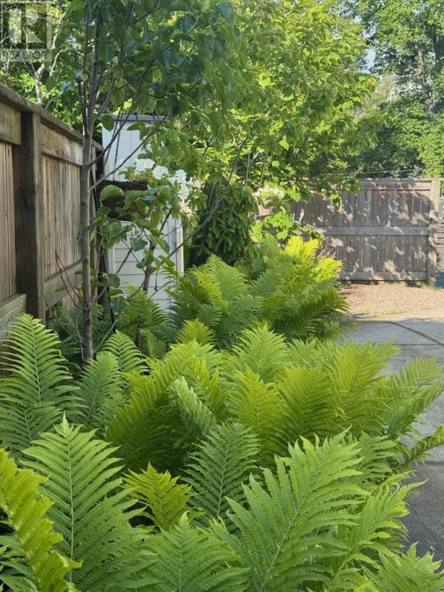 Property 44 of 52 of 6968 Chebucto Road