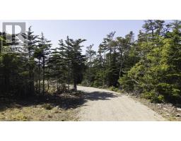 Lot 22 Thomas Road, Cape Forchu, NS B5A5G7 Photo 13