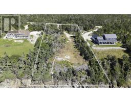 Lot 22 Thomas Road, Cape Forchu, NS B5A5G7 Photo 18