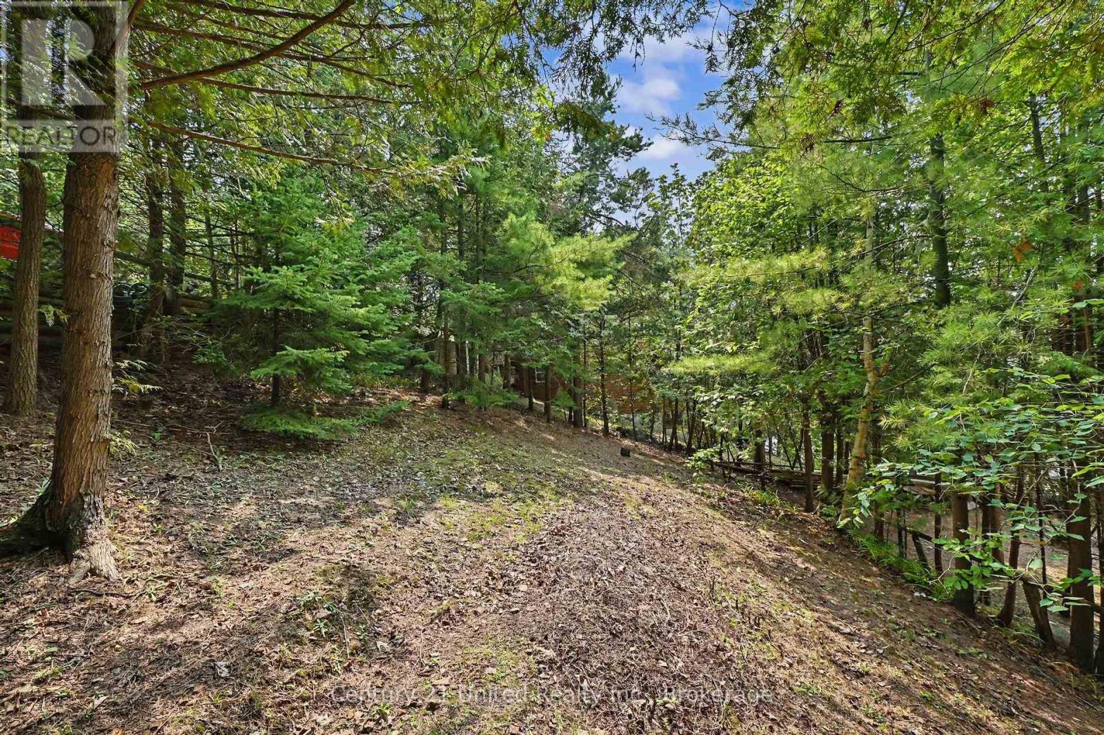 176 ROBINS ROAD - 41