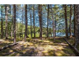 87 Edith's Point Road, South Brookfield, NS B0T1K0 Photo 37