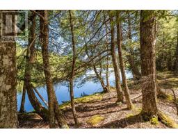 87 Edith's Point Road, South Brookfield, NS B0T1K0 Photo 39