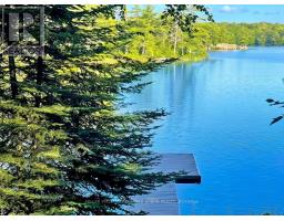 1118 Pine Lake Shores, Bracebridge, ON P1L1X3 Photo 25