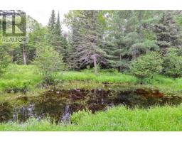 365 Clearwater Lake Road, Huntsville, ON P0B1L0 Photo 10