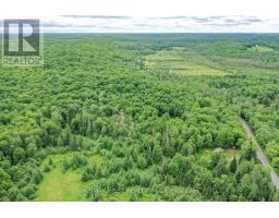 365 Clearwater Lake Road, Huntsville, ON P0B1L0 Photo 11