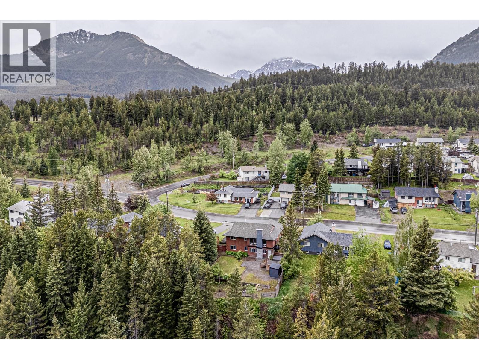 910 Alpine Way - 81