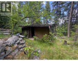 648 Lower Arrow Lake Road, Renata, BC V1N4V8 Photo 52