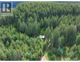 648 Lower Arrow Lake Road, Renata, BC V1N4V8 Photo 11