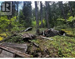 648 Lower Arrow Lake Road, Renata, BC V1N4V8 Photo 63