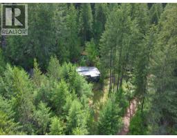 648 Lower Arrow Lake Road, Renata, BC V1N4V8 Photo 15
