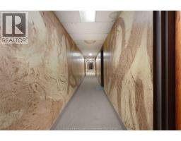 995 Elsmere, Windsor, ON N9A2A8 Photo 20