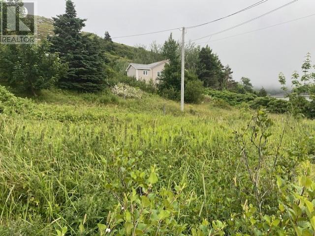 226-230 Main Road East Road, Salmon Cove, Newfoundland & Labrador, A0A3S0, Salmon Cove, Newfoundland & Labrador — photo 4 of 5