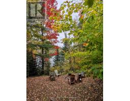64 Bentley Lake Loop, Faraday, ON K0L1C0 Photo 19