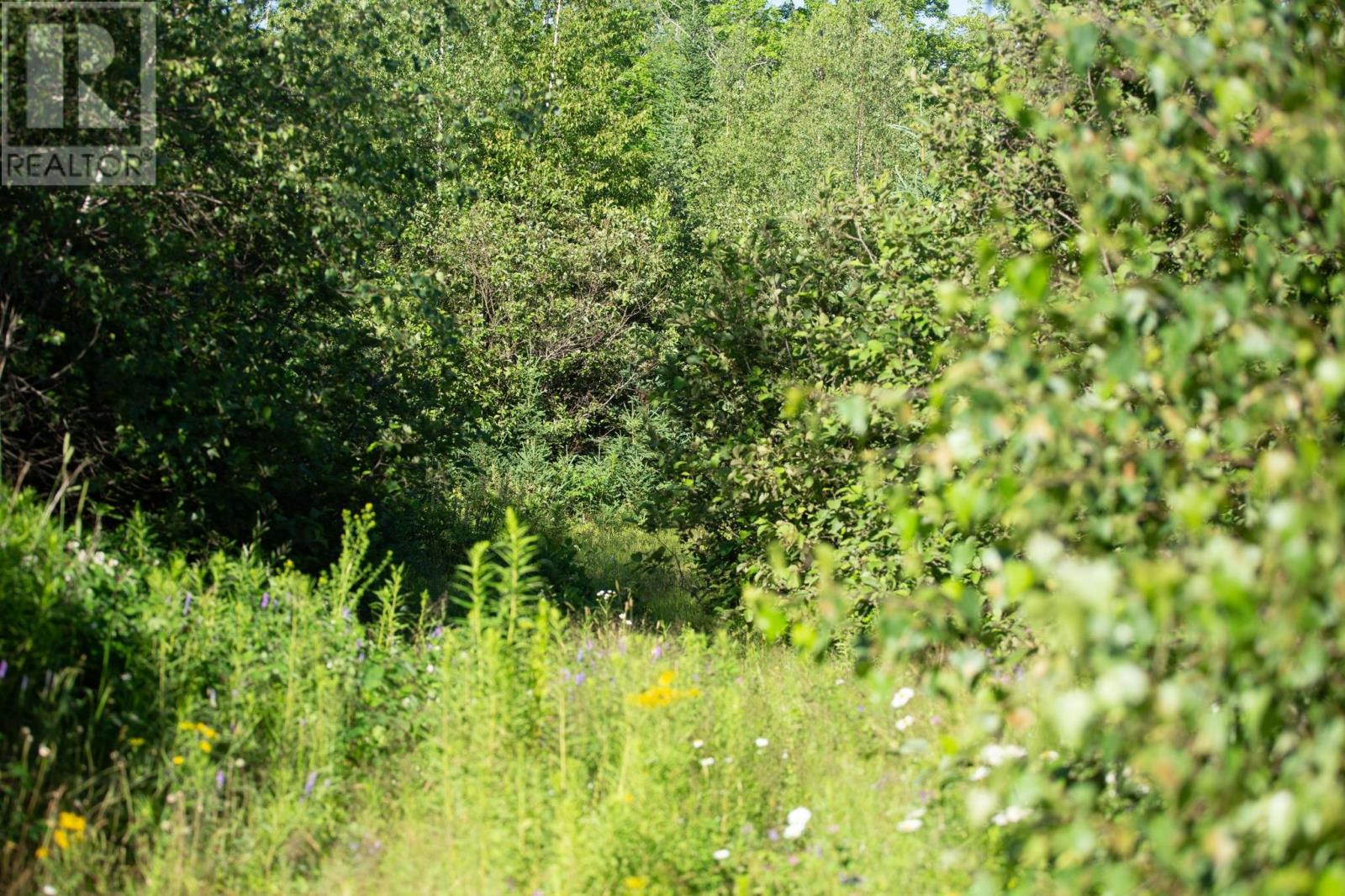 Acreage Campbell Road, Whim Road — photo 2