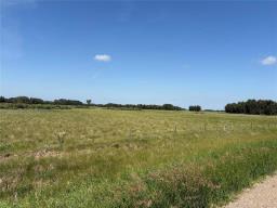 49110 133w Road, Griswold, MB R0M1P0 Photo 11